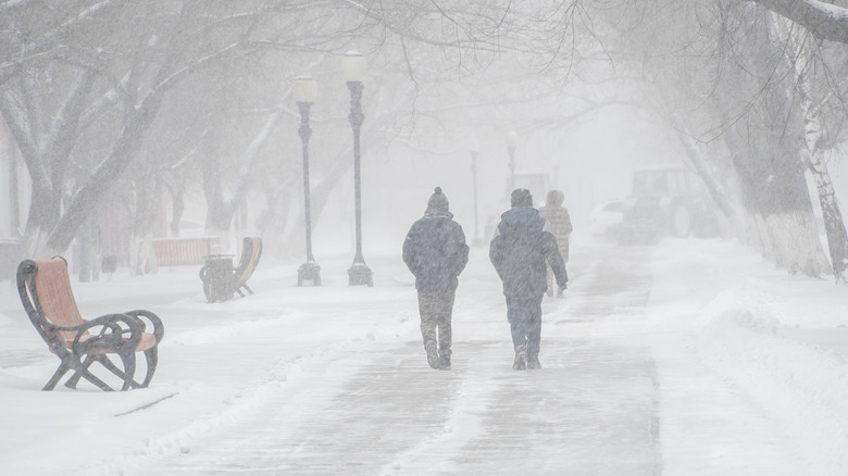 people walking snowy day