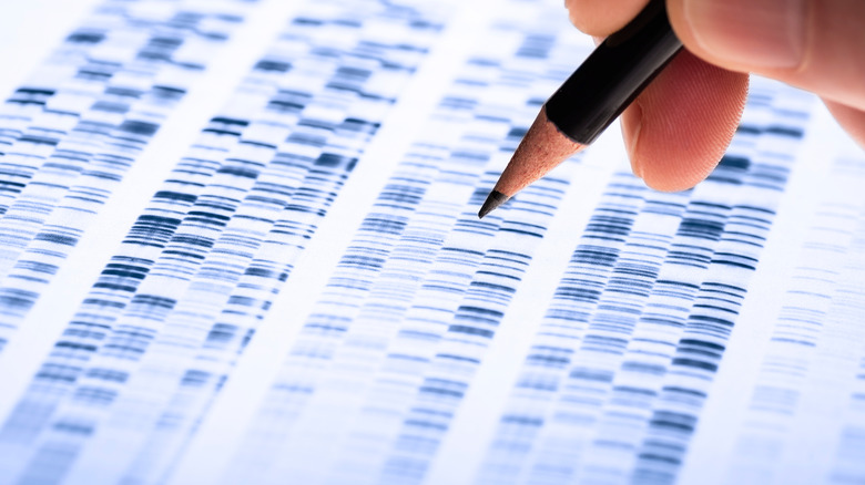 Analyzing DNA