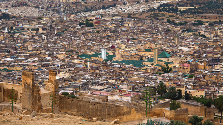 Aerial view of Al-Qarawiyyin 