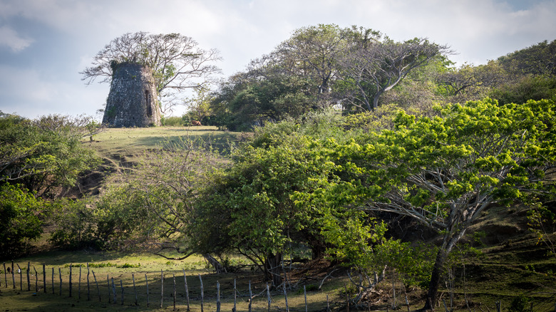 Jamaican sugar plantation remnants