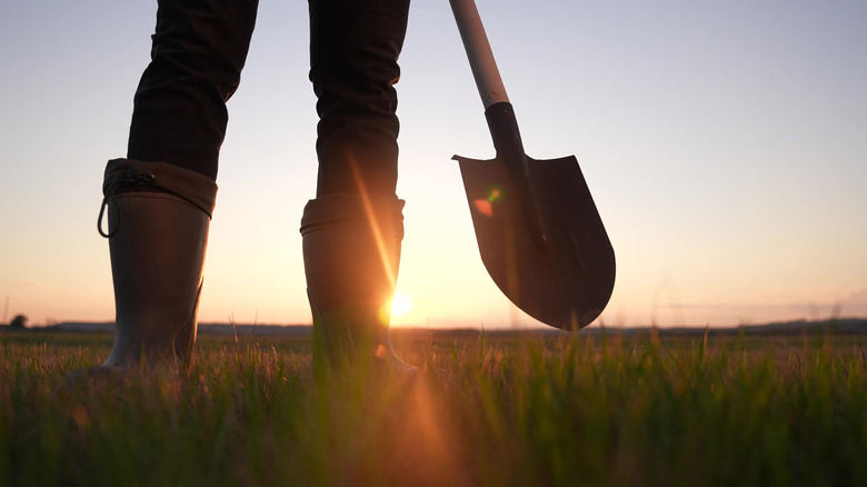 silhouette shovel