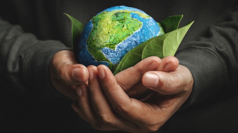 Hands holding earth in leaves