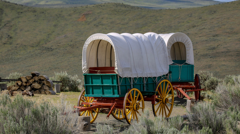 Covered wagons on the plains