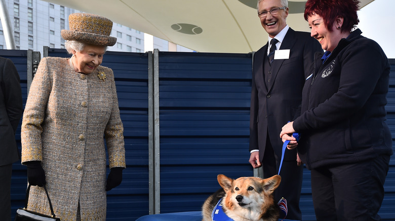 Elizabeth at a dog show