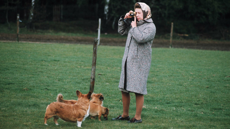 Queen Elizabeth and her corgis