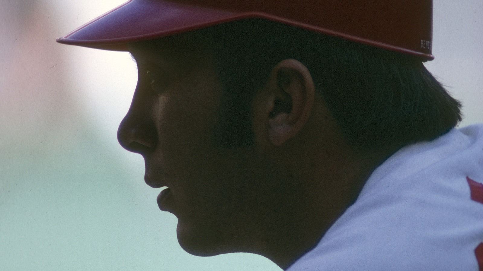 Johnny Bench Facts