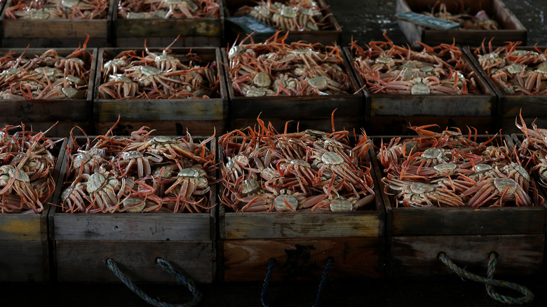 snow crab boxes