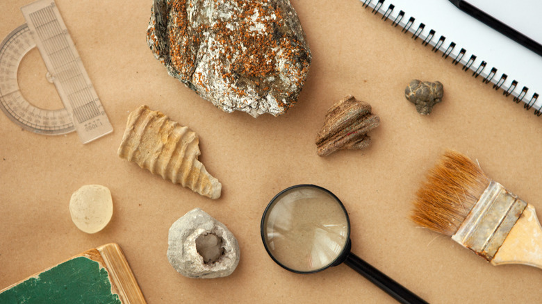 geological samples on a table with tools