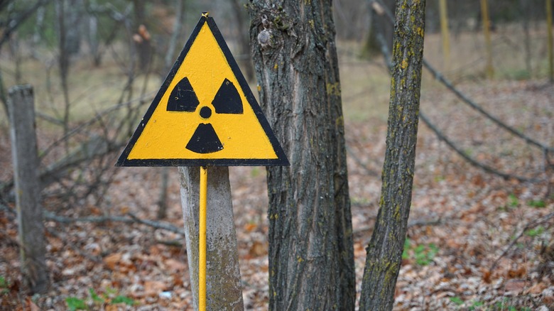 radioactive warning sign in the forest