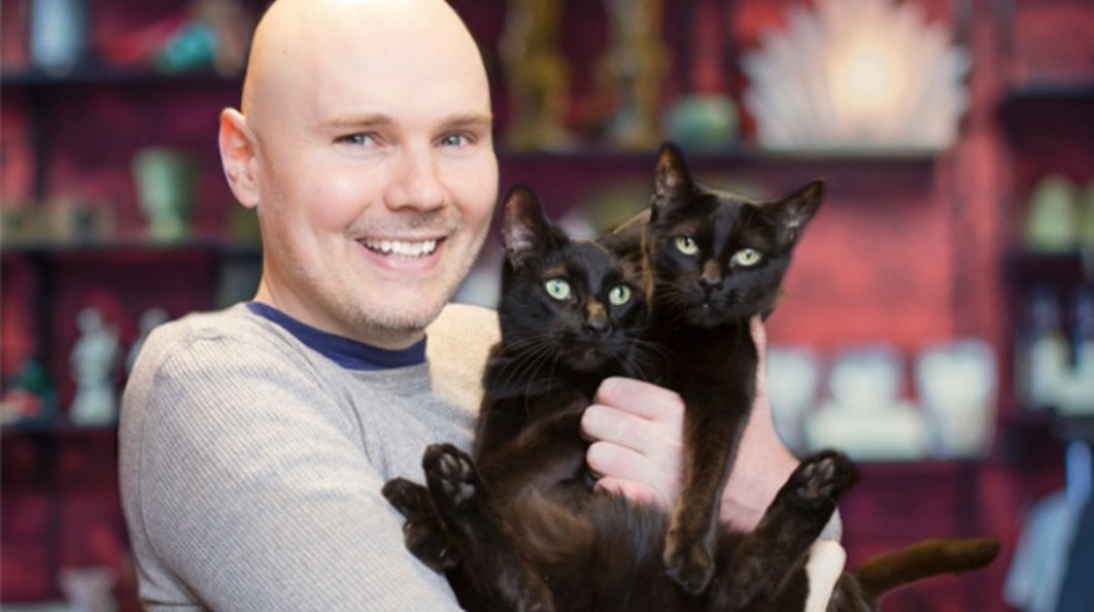 Billy Corgan with cats