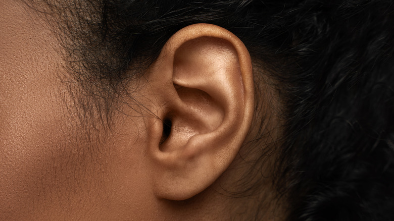 Human ear