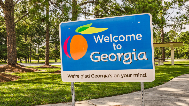 Welcome to Georgia sign