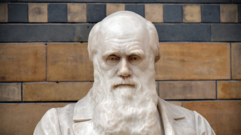 statue of charles darwin