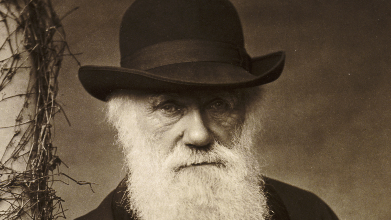 Why Charles Darwin's Father Was Disappointed In Him