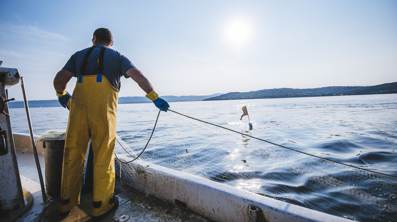 Fisherman drapes net over boat with no railing