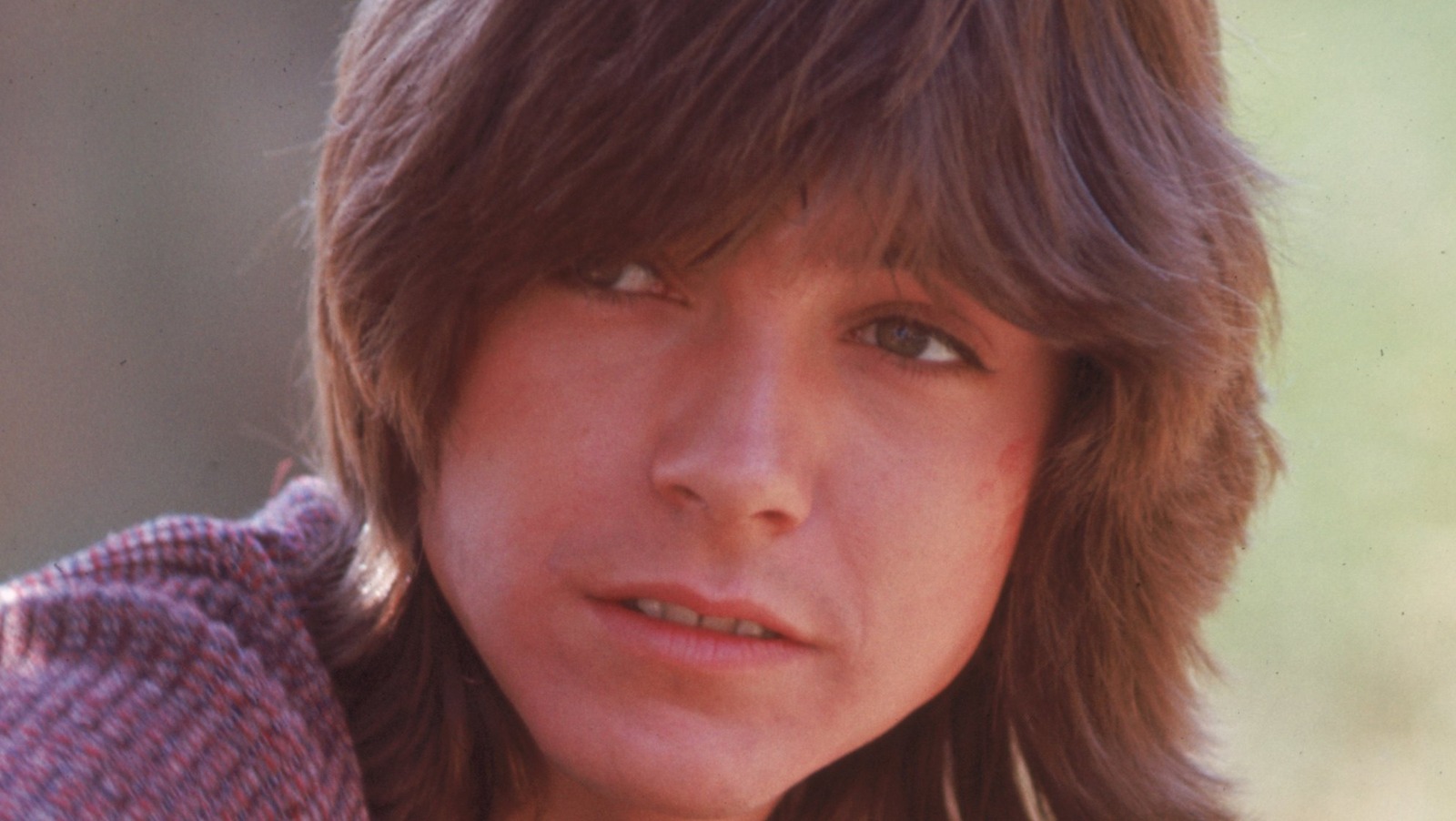 Why David Cassidy Filed For Bankruptcy