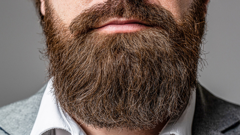 Close up of person's beard