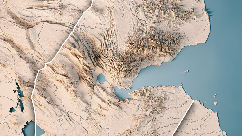 Topographical map of Djibouti