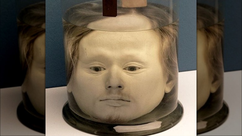 Diogo Alve's head in a jar