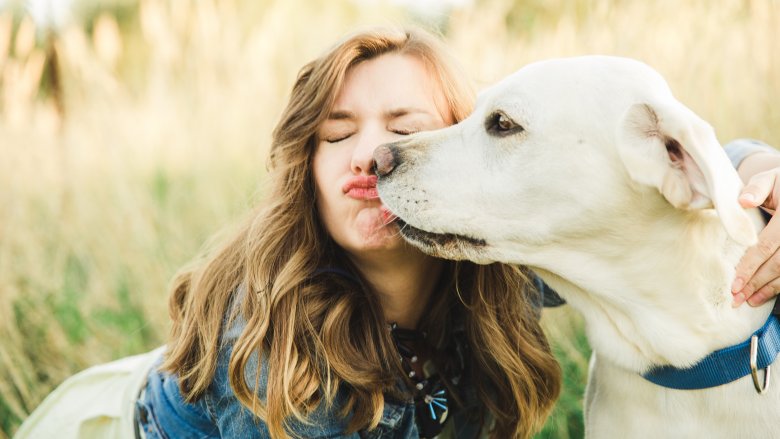 Dog licking woman's face