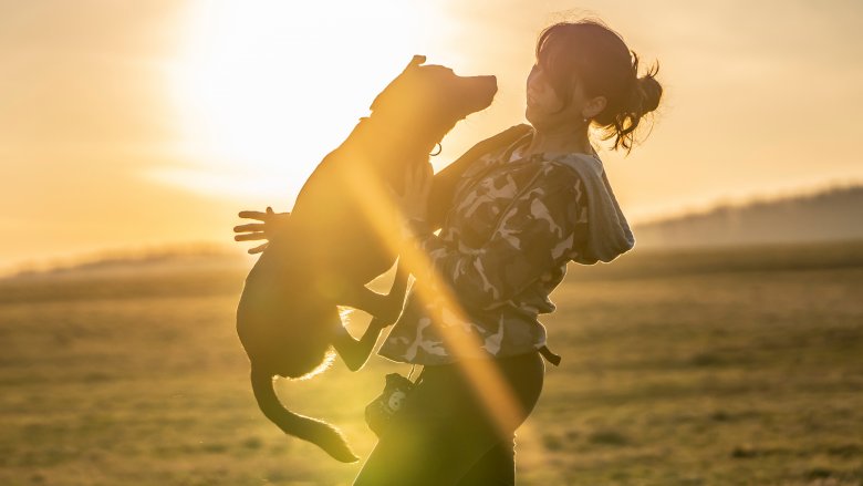 Dog jumping on woman