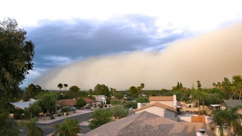 Dust storm and city