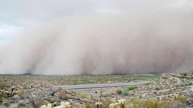 Dust storm and roadway
