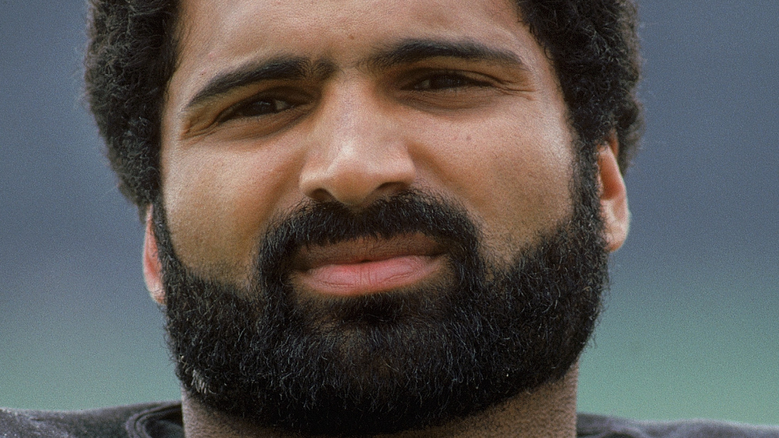 The Untold Truth Of Franco Harris