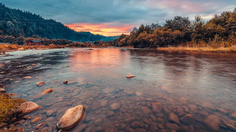 Photo of freshwater lake Ukraine 