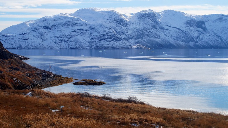 Archaeological site of a Norse farm 