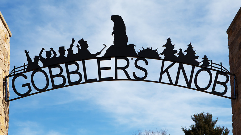 Gobbler's Knob