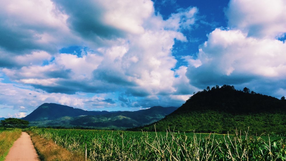 Yoru, Honduras