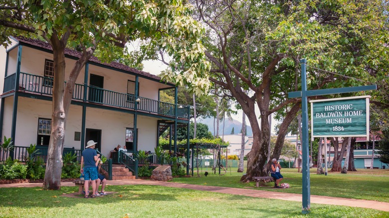 Lahaina's historic banyan tree