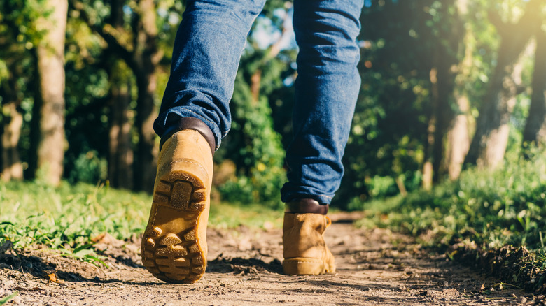 Hiker wearing boots in forest