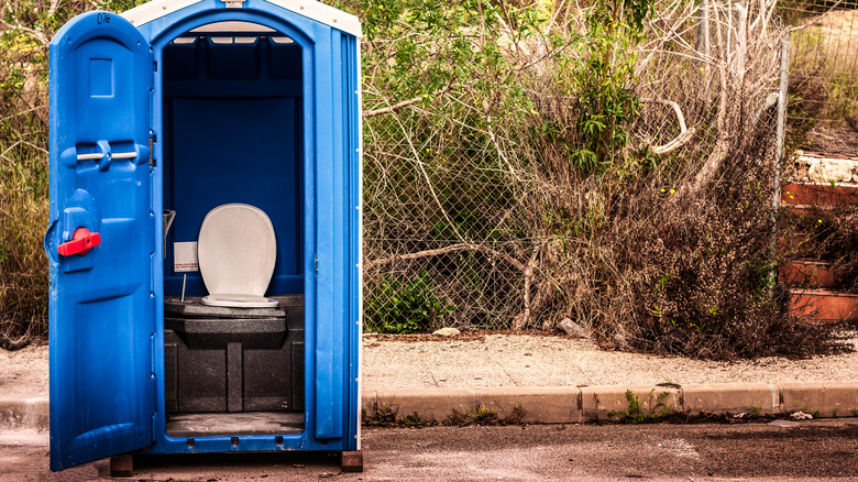 Portable outdoor toilet door open