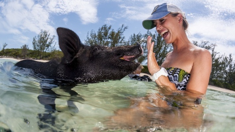 smiling woman feeding black pig