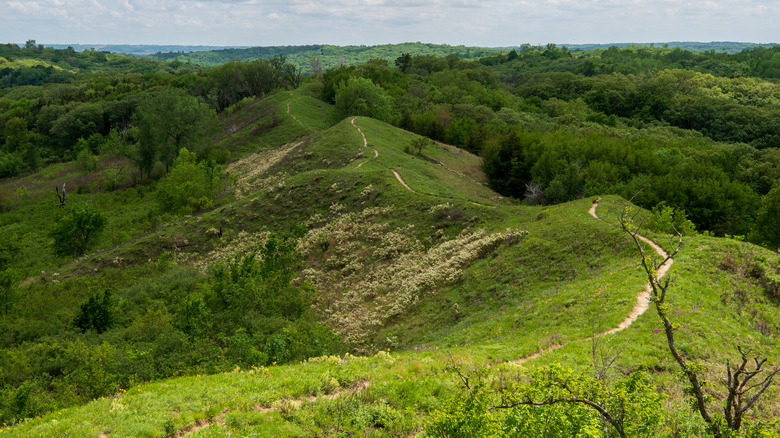 The Iowa hills