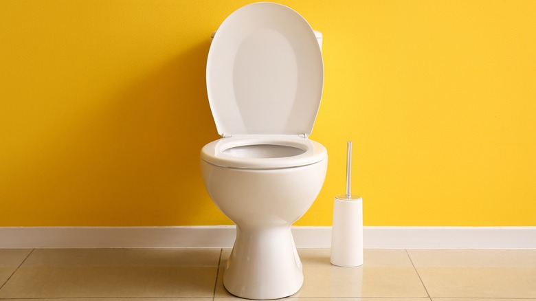 toilet and toilet brush yellow wall