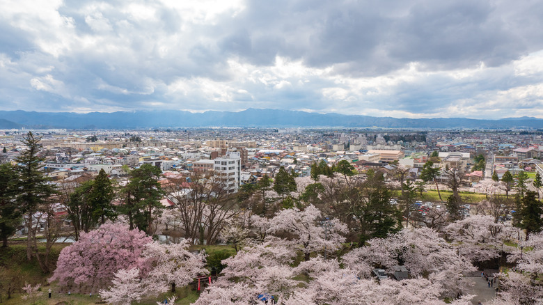 Cherry blossom and parks in Fukushima