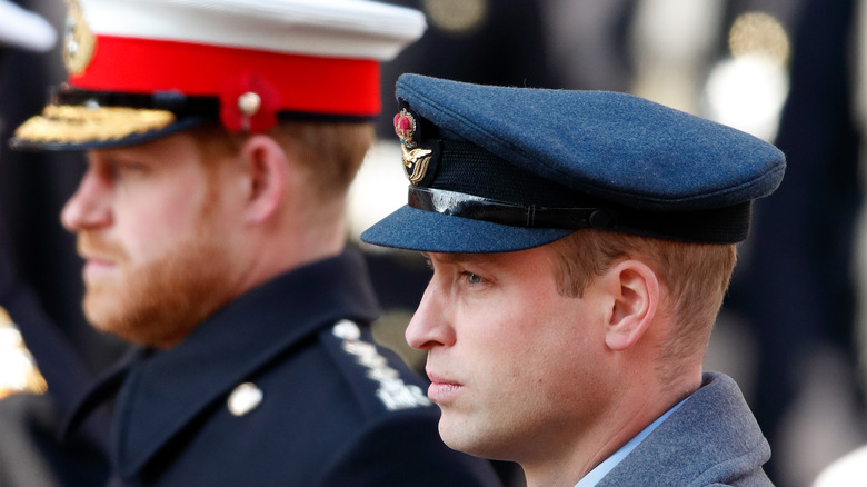Prince Harry and William