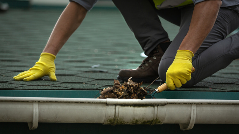 person scooping debris from drain