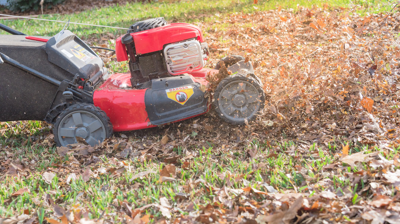 Mowing leaves