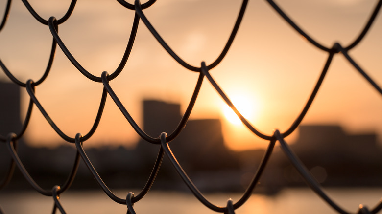 Sunset Through the Fence