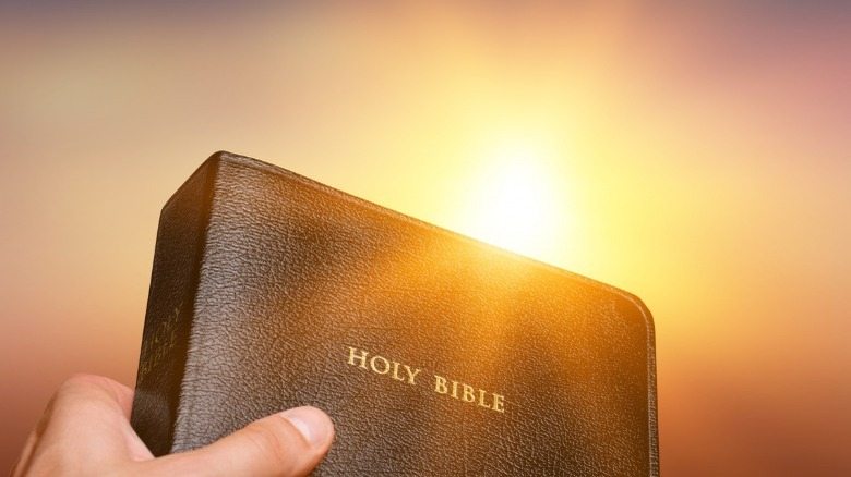 hand holding Bible in sunlight