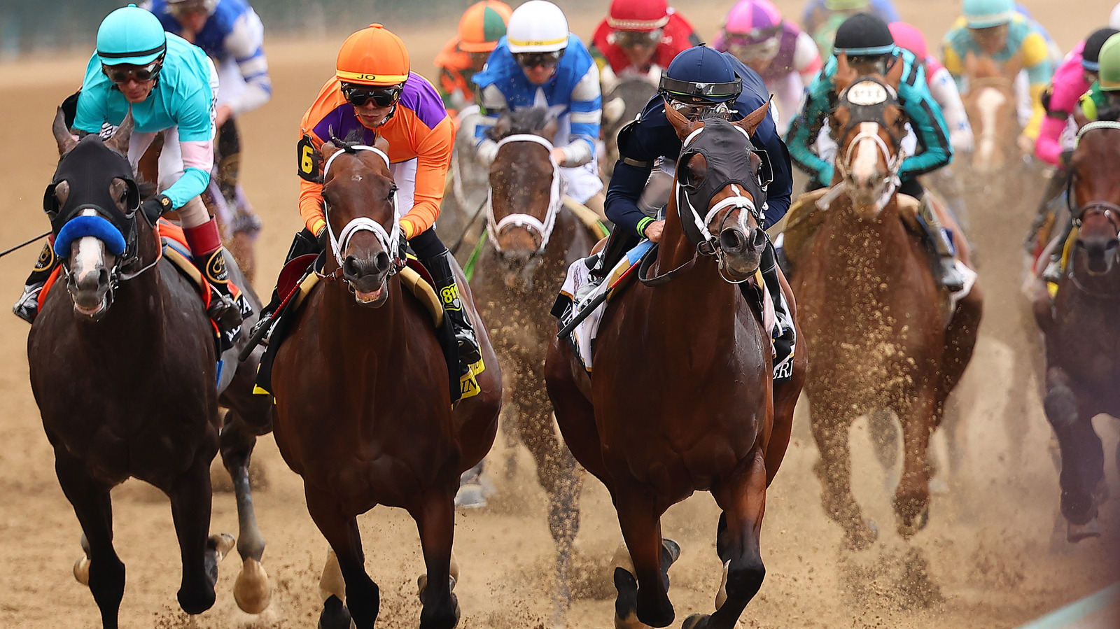 why-some-race-horses-die-before-or-during-races