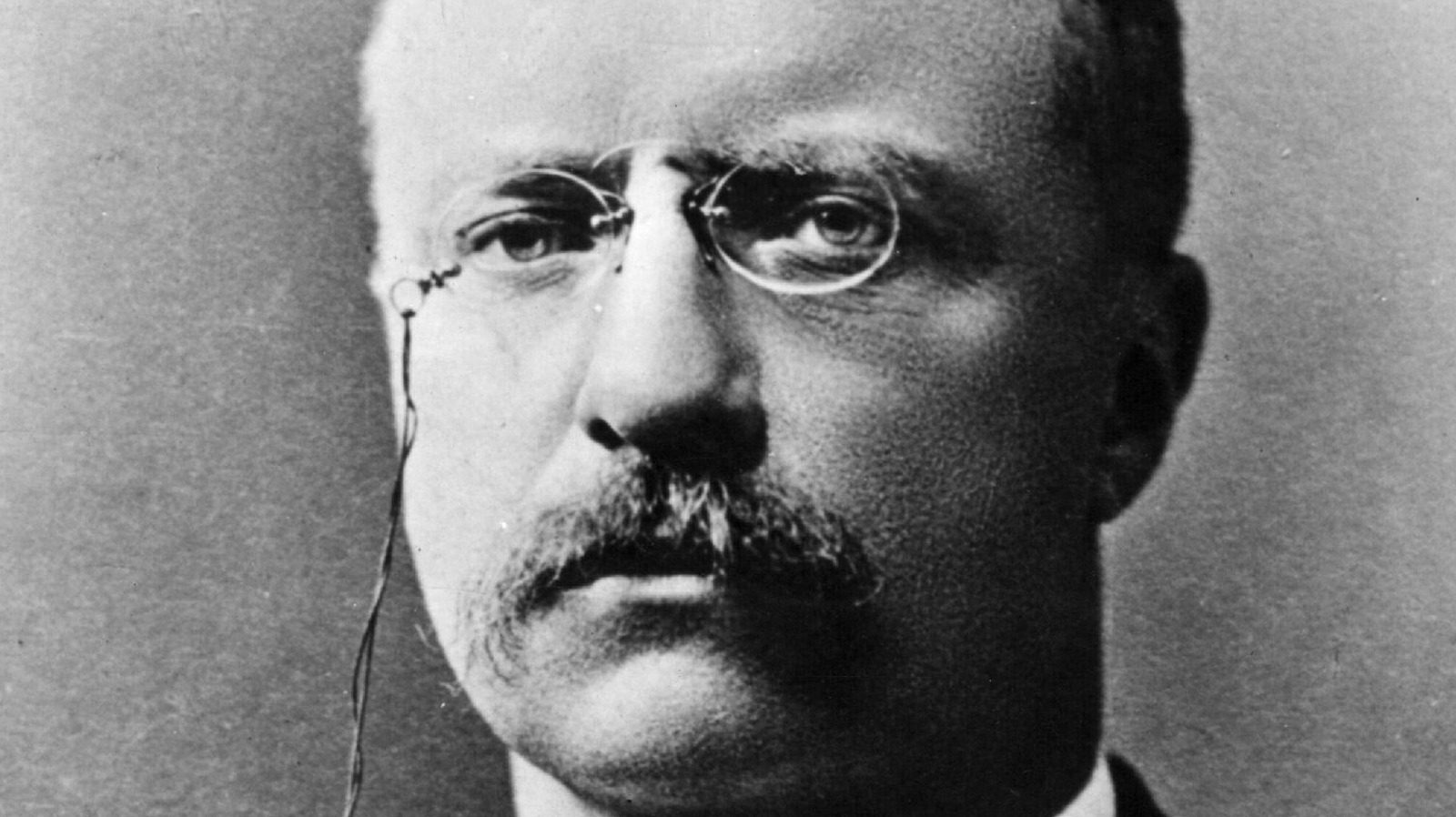 Why Teddy Roosevelt's Legacy As The 'Conservation President' Is Well-Earned