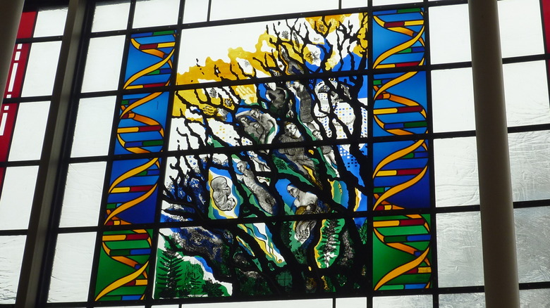 Stained glass showing tree of life and DNA double helix