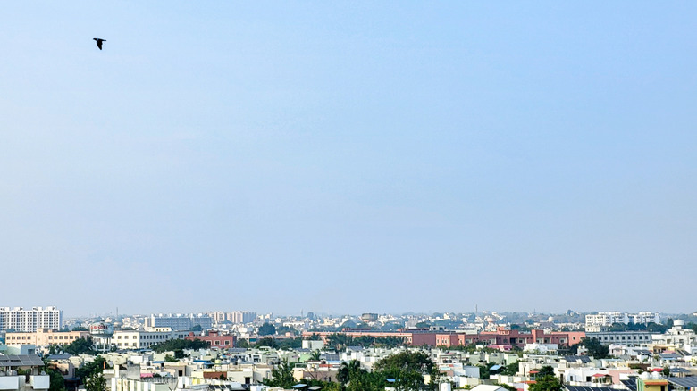 A crow flying over Bhopal