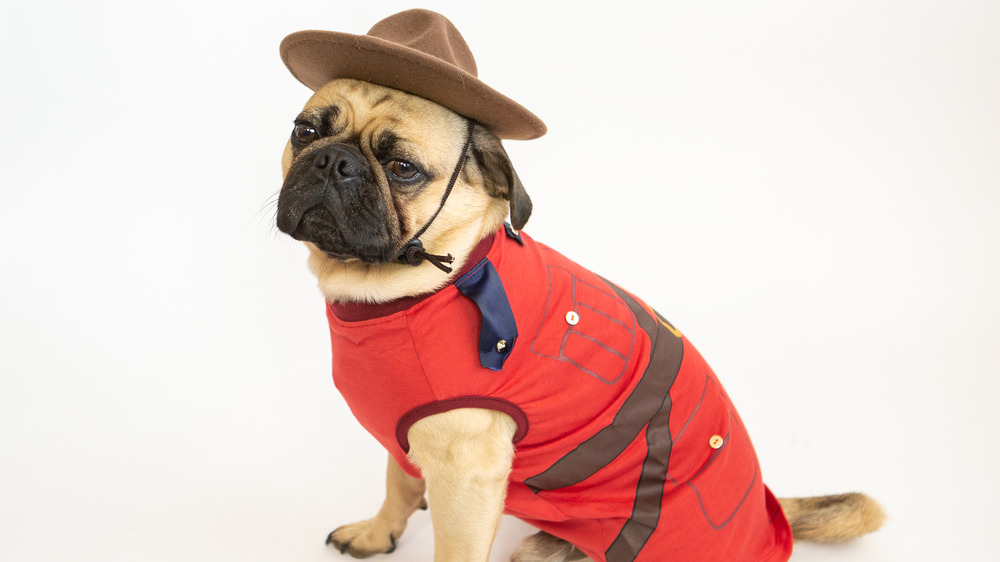 Mountie dog in red coat