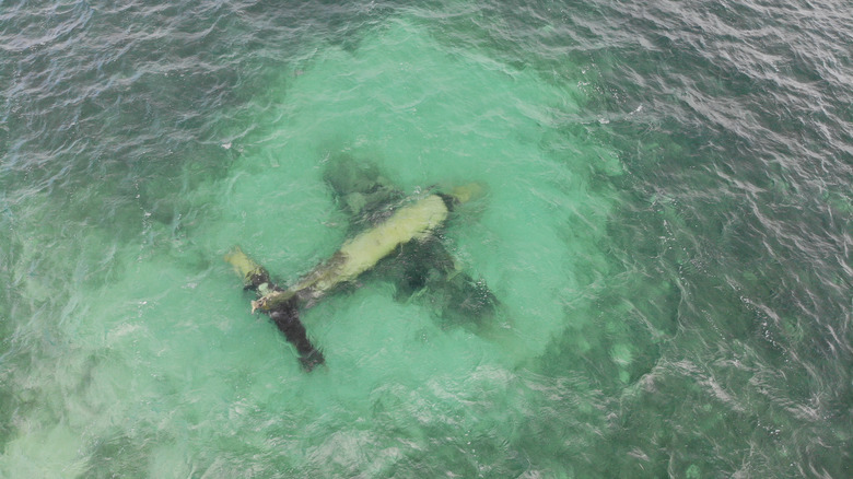 Sunken plane